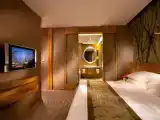 Двухместный номер студия