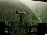 Трёхместный номер Стандарт
