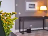Одноместный люкс Superior