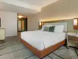 Двухместный полулюкс Premier