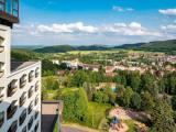 Номер Стандарт с панорамным видом
