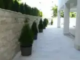 Номер Эконом