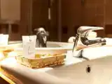 Студия Superior
