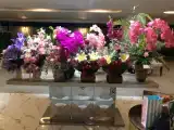 Run of House