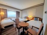 Одноместный номер Luxury