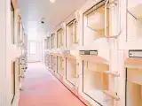 Кровать в общем номере (женский номер)