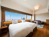 Двухместный номер Skytree View Deluxe