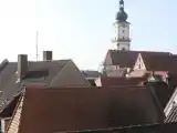 Run of House