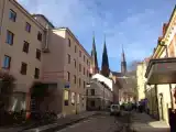 Run of House