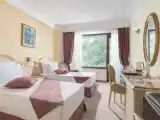 Двухместный номер Стандарт с балконом и с видом на парк