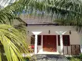 Трёхместный номер Стандарт с видом на бассейн