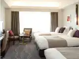 Трёхместный номер (этажи Authentic Floor 16-27) Deluxe
