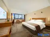 Одноместный номер Business