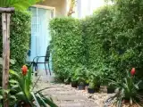 Номер Стандарт с видом на сад