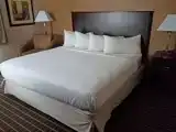Двухместный люкс