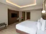 Двухместный люкс Premium с видом на город