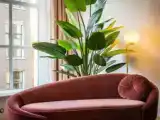 Двухместный номер Grand