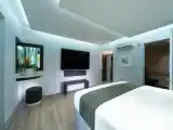 Двухместный номер Premier с балконом