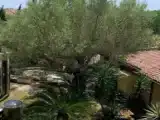 Номер Эконом