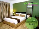 Двухместный номер Executive с видом на город