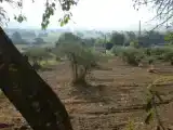 Двухместная студия