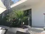Апартаменты с видом на бассейн