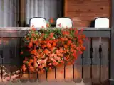 Двухместный номер Стандарт