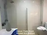 Трёхместный номер Deluxe