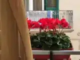 Четырёхместный семейный номер Стандарт