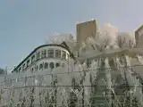 Run of House