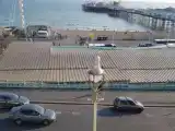 Двухместный люкс с видом на море