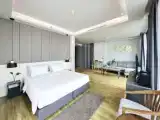 Двухместный Mini Suite