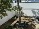 Одноместный люкс с панорамным видом