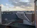 Run of House