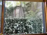 Номер Эконом