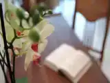 Номер Superior