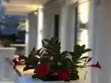 Номер Стандарт