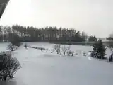 Номер Superior