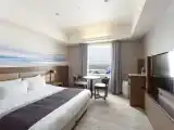 Двухместный номер Deluxe Runway View