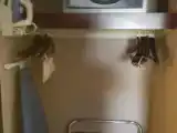 Двухместный номер Стандарт с балконом