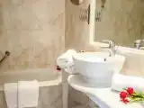 Полулюкс с балконом и с видом на сад