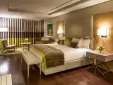 Одноместный люкс Deluxe с видом на парк