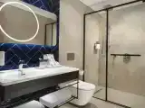 Двухместный номер with Sofa bed Premium