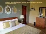 Номер Стандарт