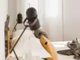 Номер Superior