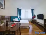 Двухместная студия Executive с видом на город