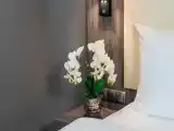 Одноместный номер Стандарт с видом на парк
