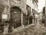 Run of House