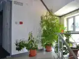 Одноместный номер Эконом