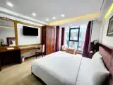 Двухместный номер Deluxe с видом на город